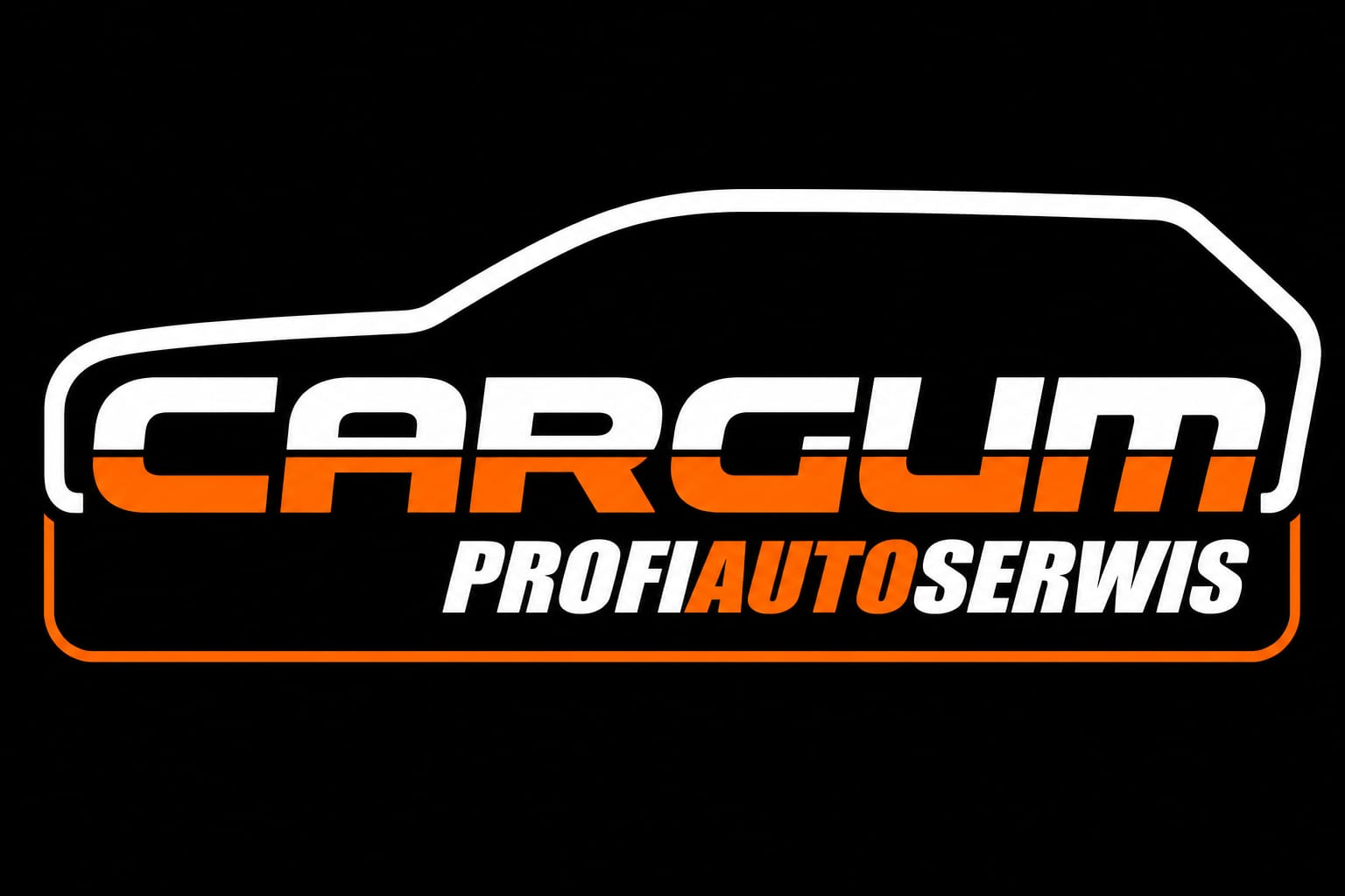 PROFI AUTO SERWIS CARGUM